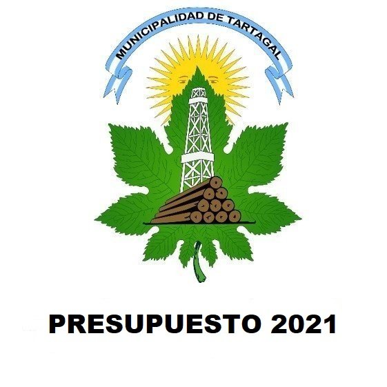 ORDENANZA PRESUPUESTARIA 2021 DE LA CIUDAD DE TARTAGAL