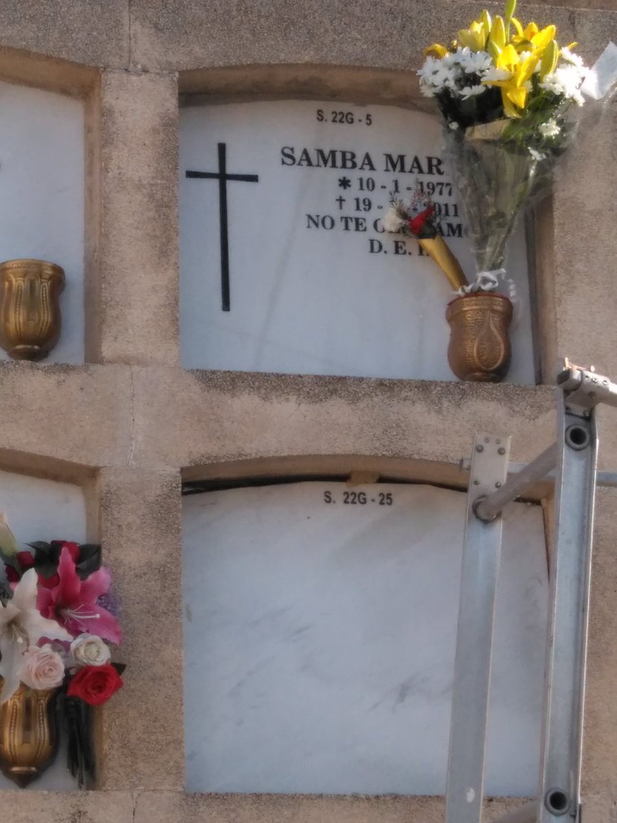 ¿Qué mató a Samba Martine?