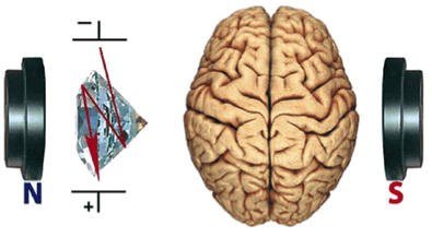 How a NLS Scan works