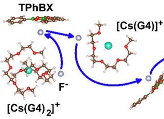 Transfer Route of Fluoride Ions in Electrolyte for Fluoride Shuttle Batteries