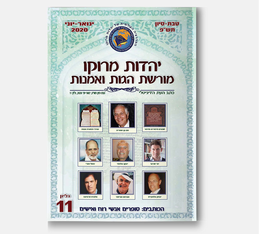 גליון 11