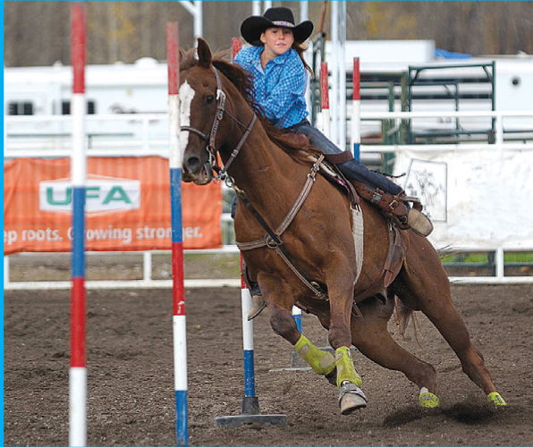 Equine events