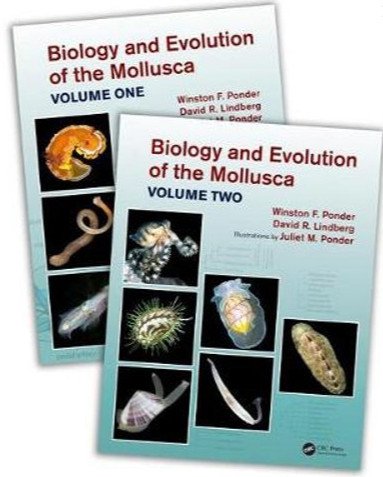 📹 Wonder of Science #choco #molluschi #mollusco #mollusca #molusc #m