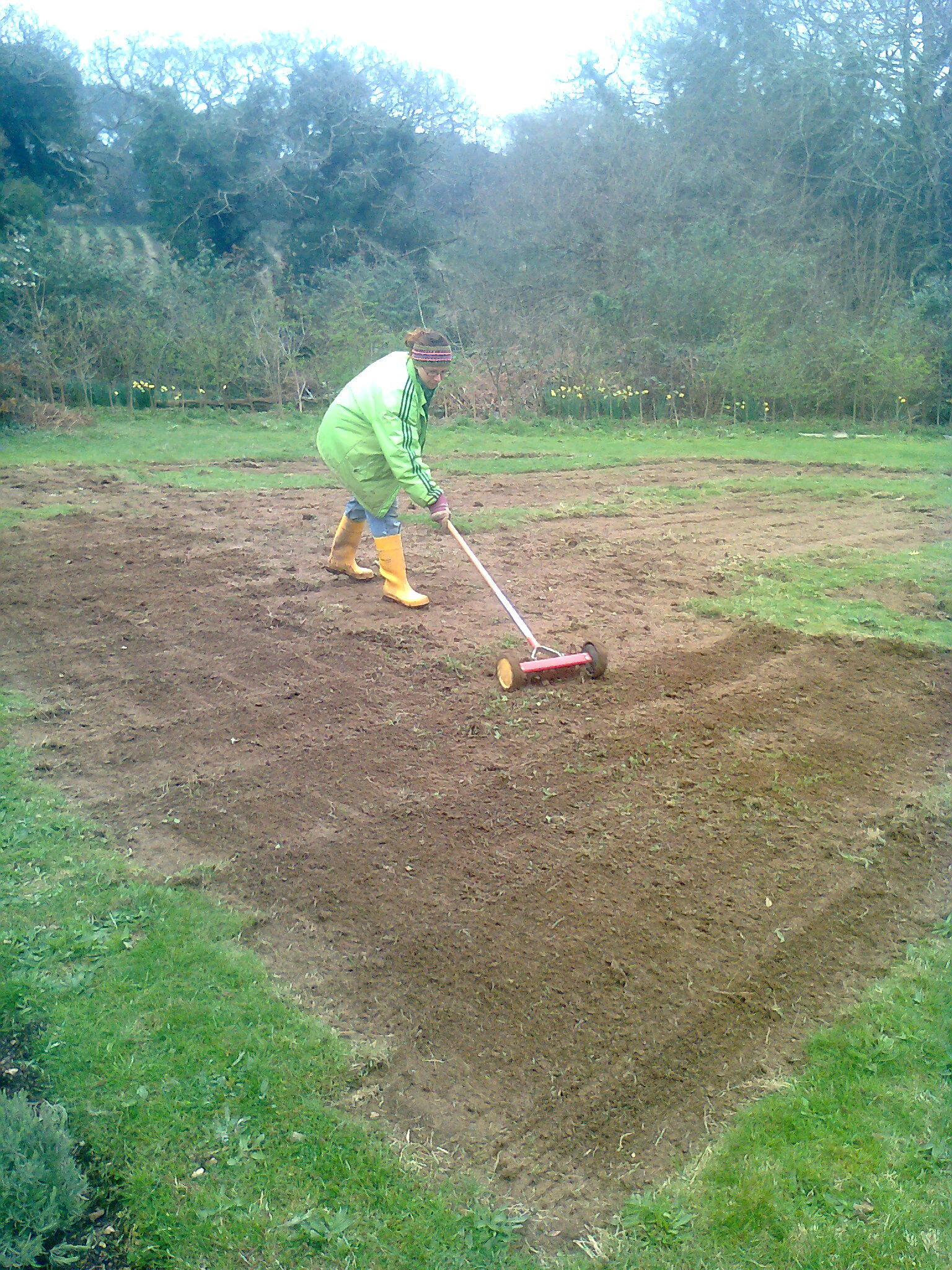 Breaking up the soil a little