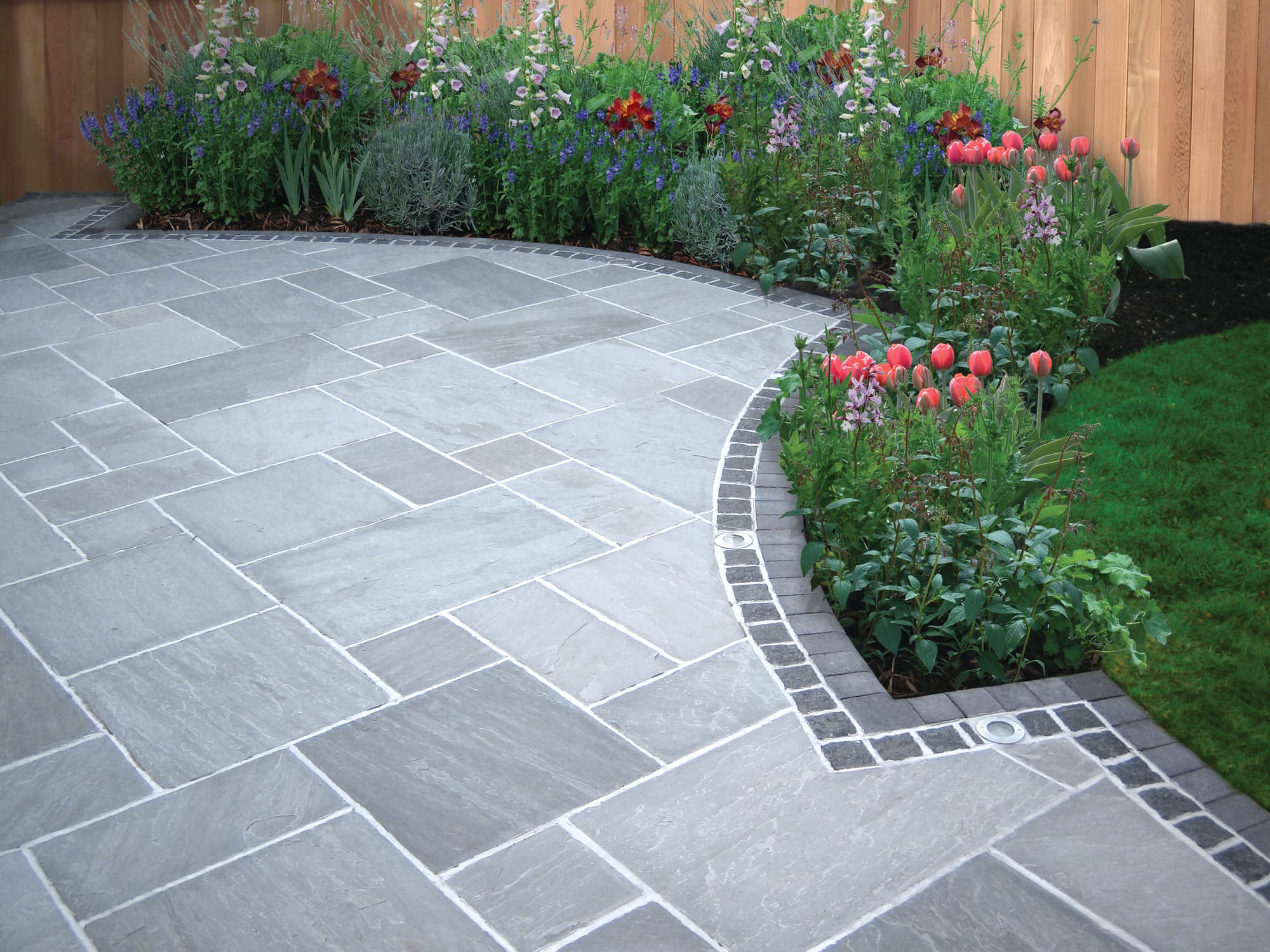 Mountain Mist Premium Sandstone - Digby Stone