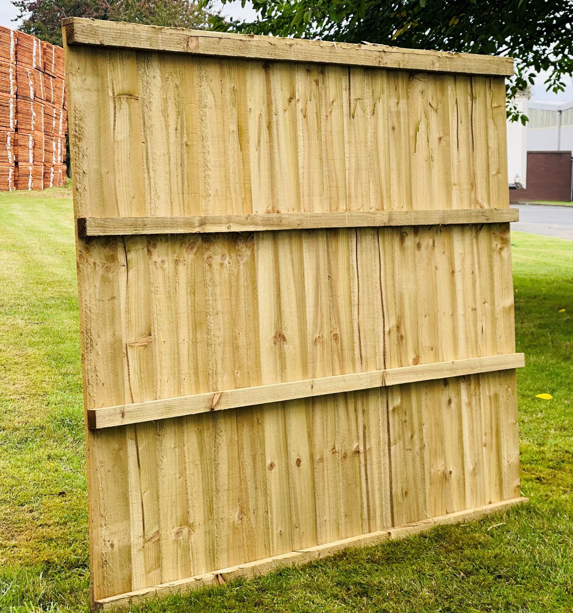 Standard Featheredge Panel Green - rear view