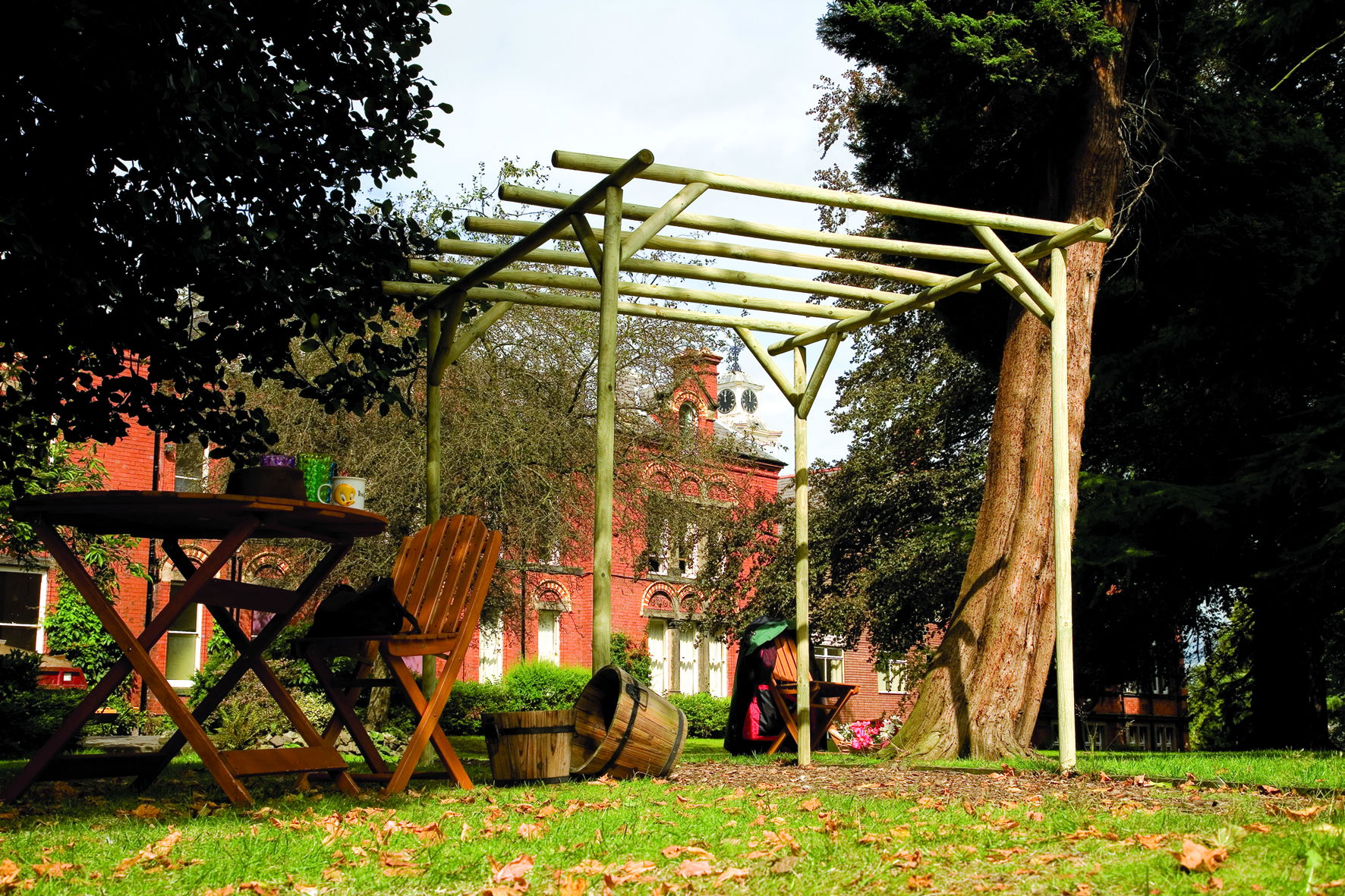 Rustic Rose Pergola