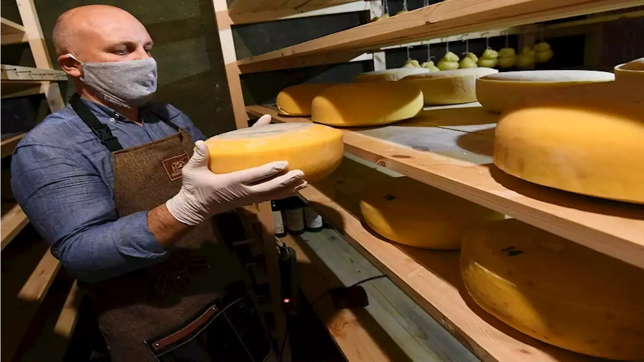 أنواع ممتازة من الجبن تطيل عمر الإنسان