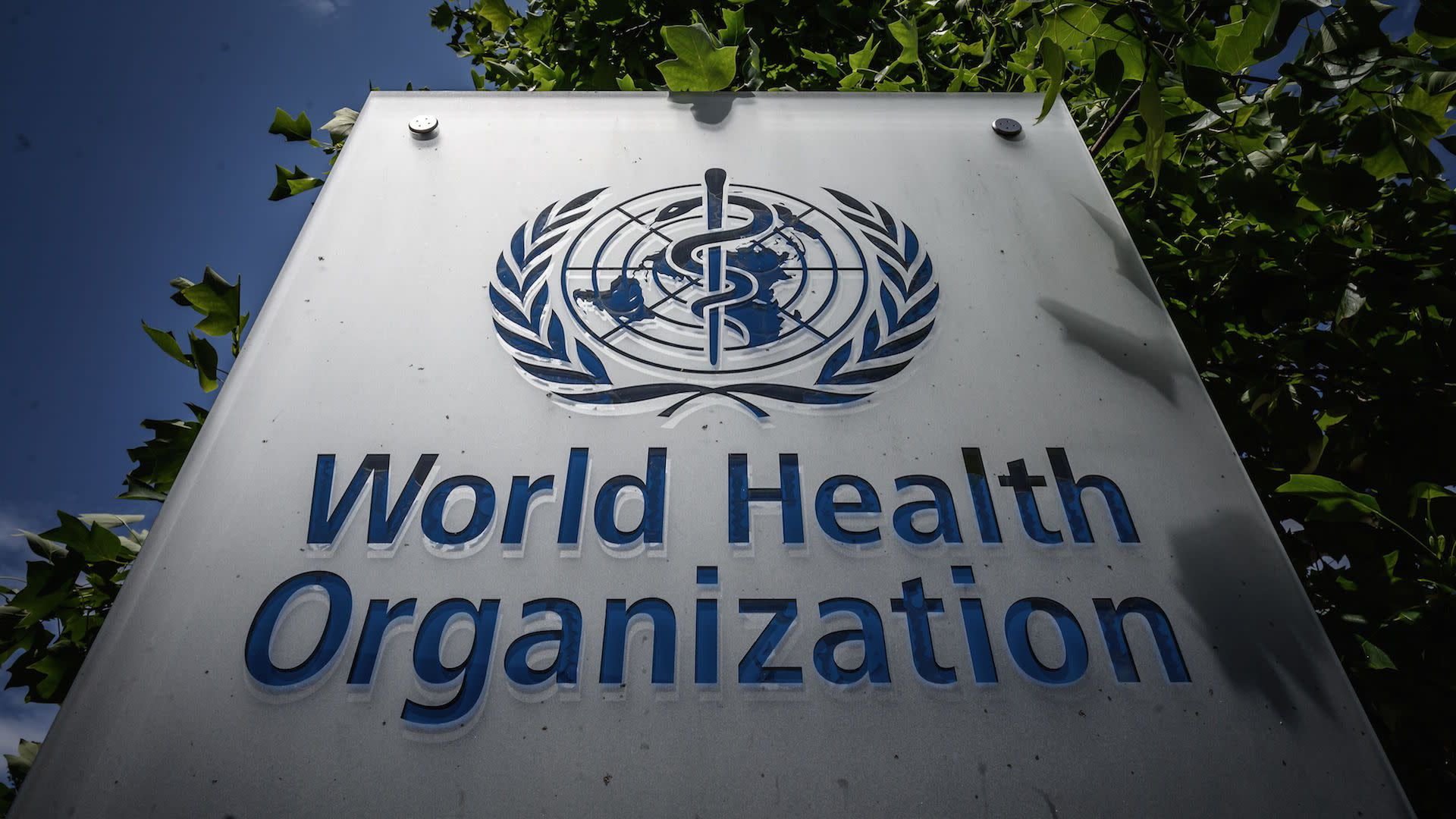 منظمة الصحة العالمية: لقاحات كورونا لا تعني نهاية الوباء في المستقبل القريب