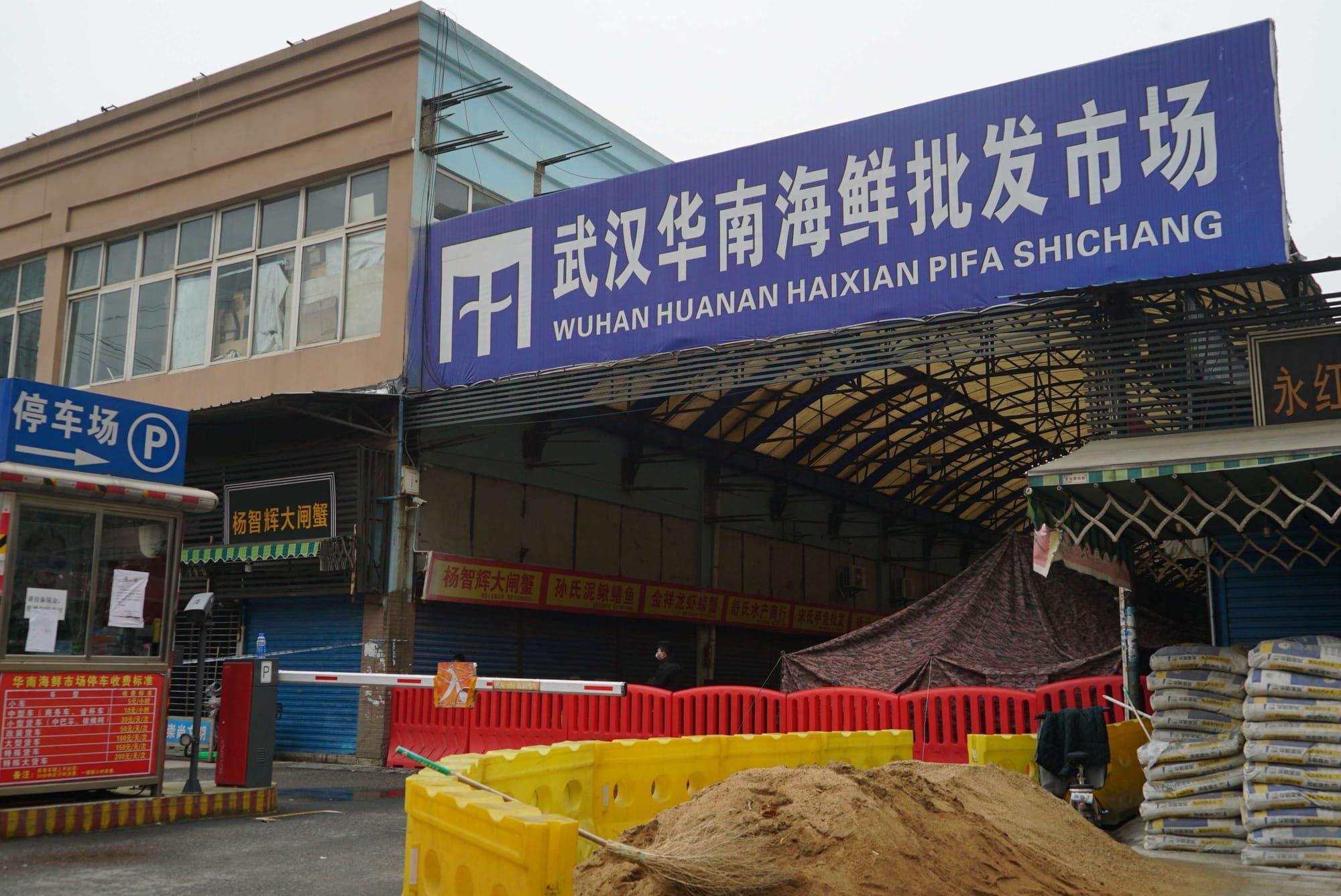 فريق منظمة الصحة بووهان يحقق بأصول الجائحة بسوق للمأكولات البحرية في الصين
