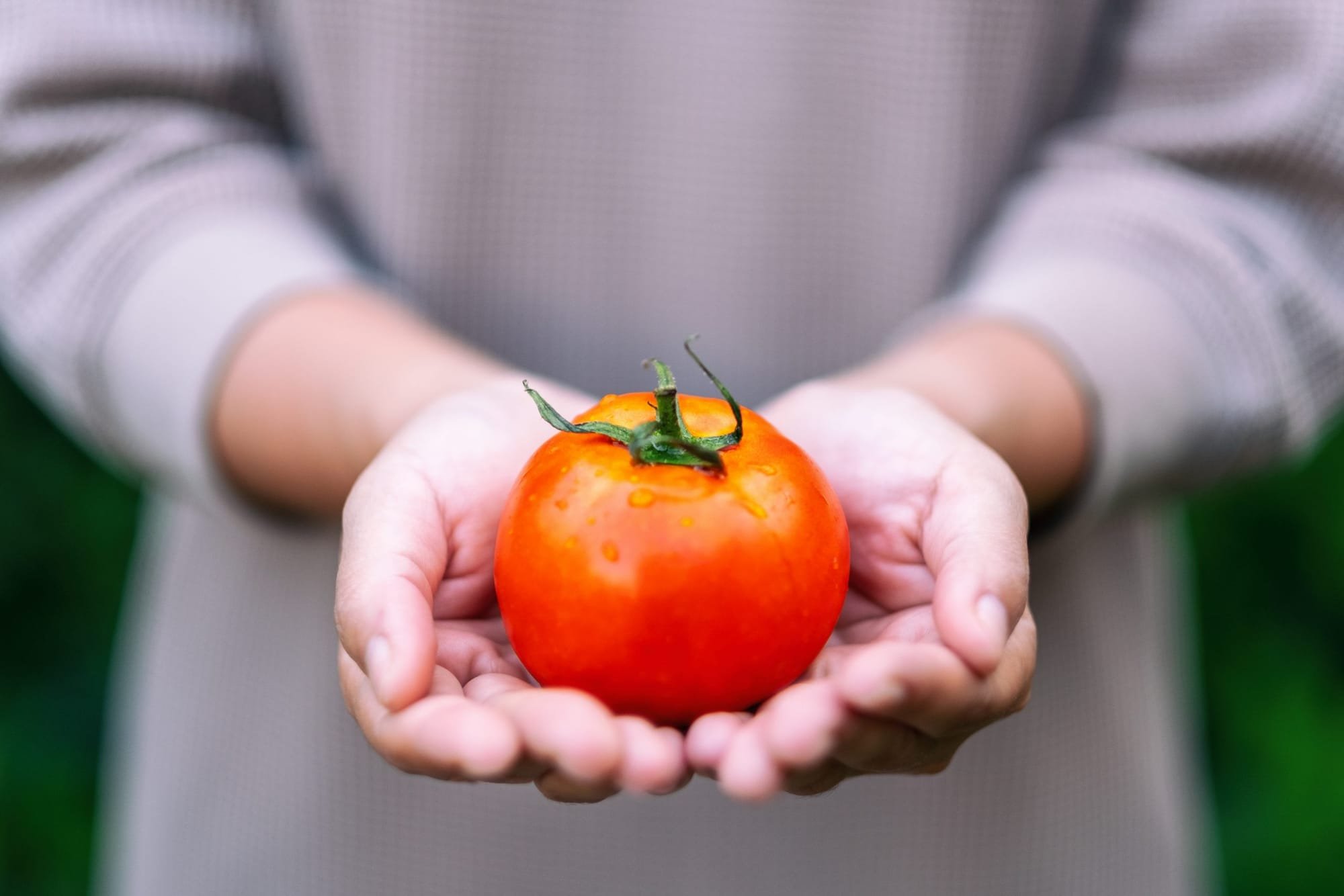 أطعمة صحية مفيدة للرجال والنساء فوق سن الأربعين.. أبرزها الطماطم والشوفان