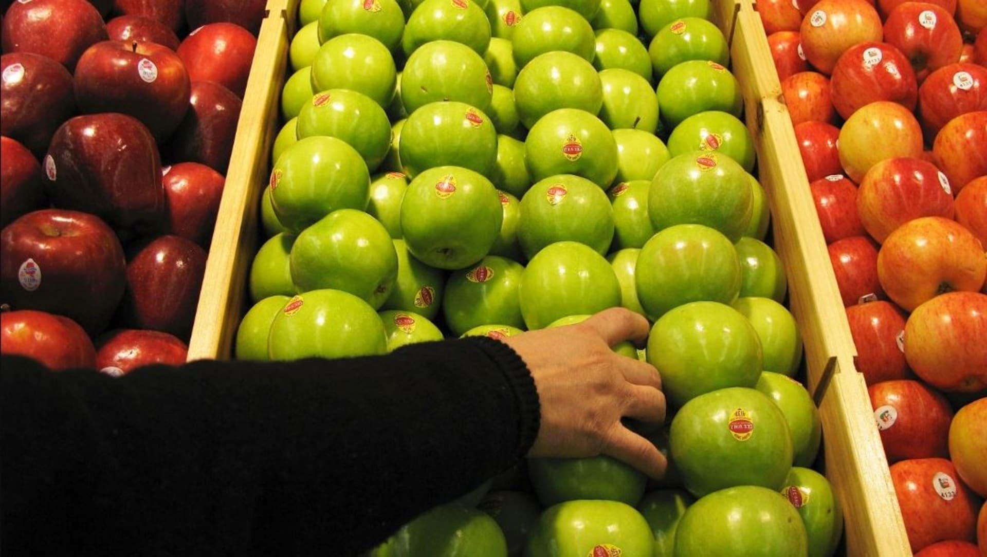 التفاح الأحمر أو الأخضر.. خبيرة تغذية توضح أيهما الأفضل لجسم الإنسان