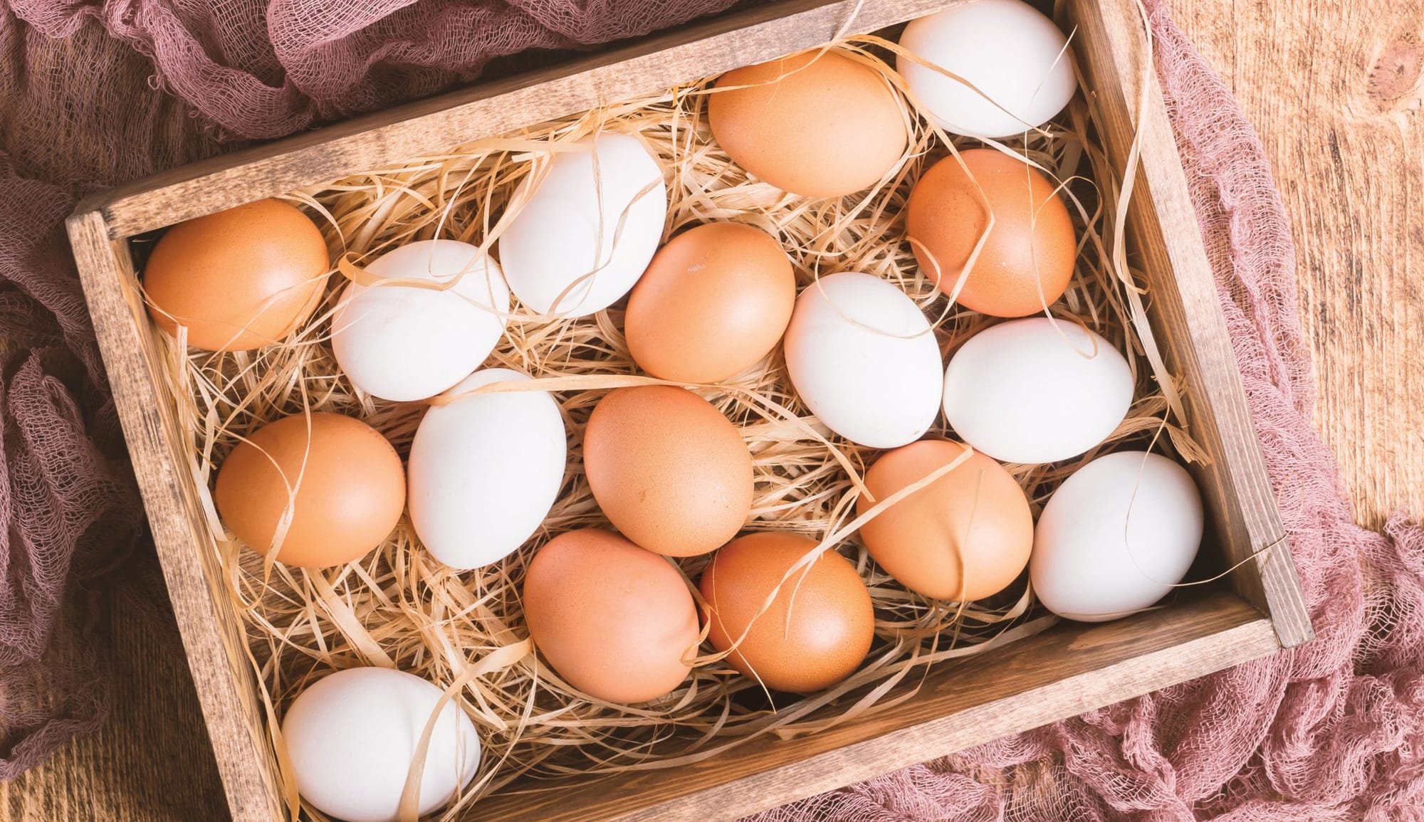 حقائق مذهلة عن البيض قد يتجاهلها البعض