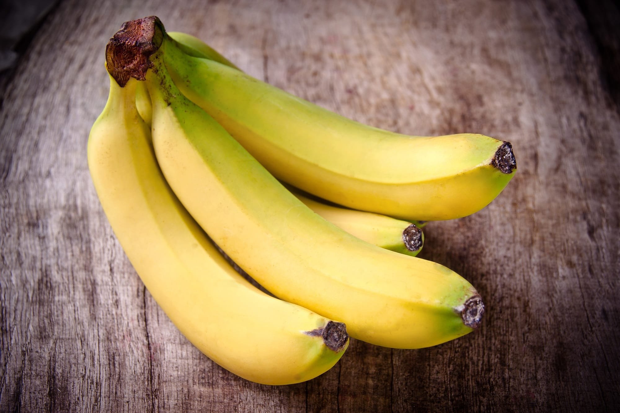 خطر يهدد بحرمان البشرية من الموز