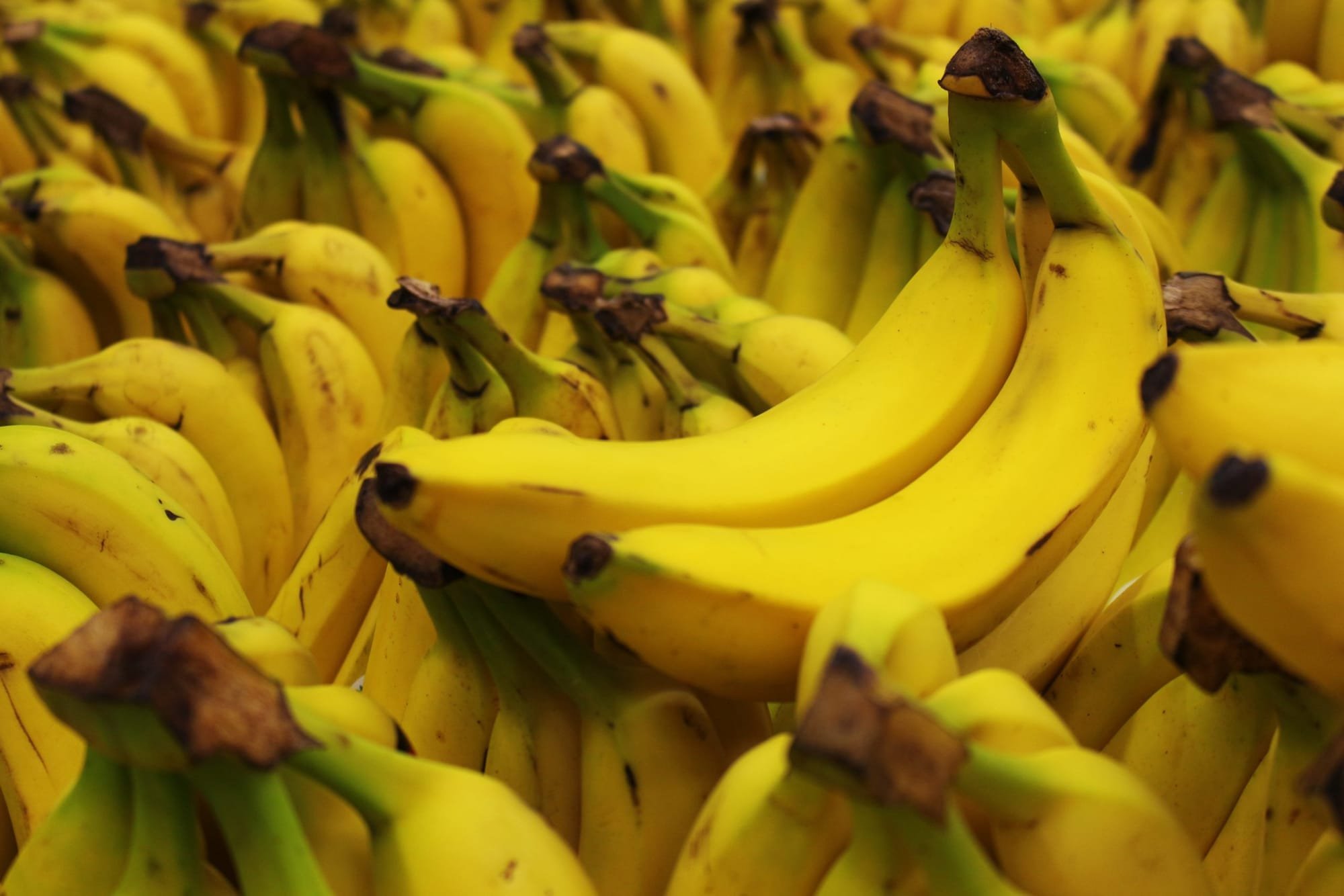 استخدام مخلفات الموز في صناعة السجاد