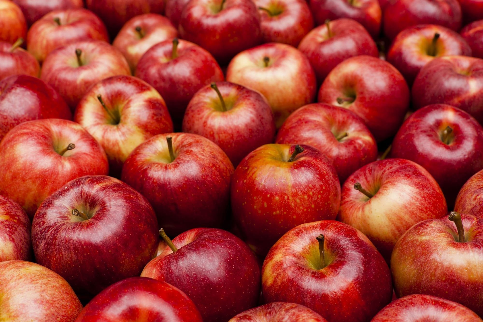 خبيرة تكشف فوائد التفاح في الوقاية من السرطان