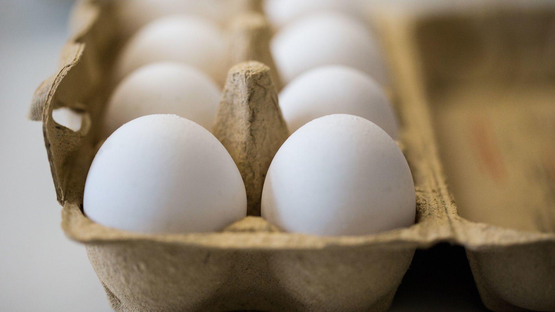 كم بيضة يمكن أن نتناول في اليوم؟