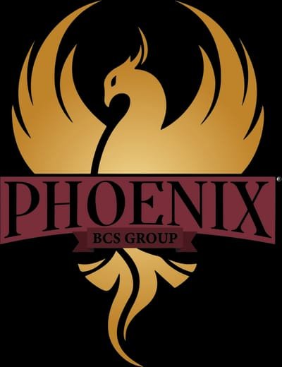 Phoenixbcs-groupltd
