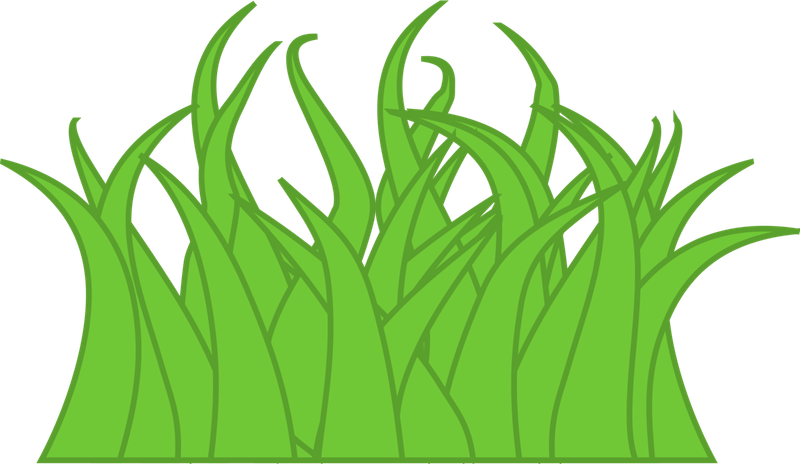Field Day