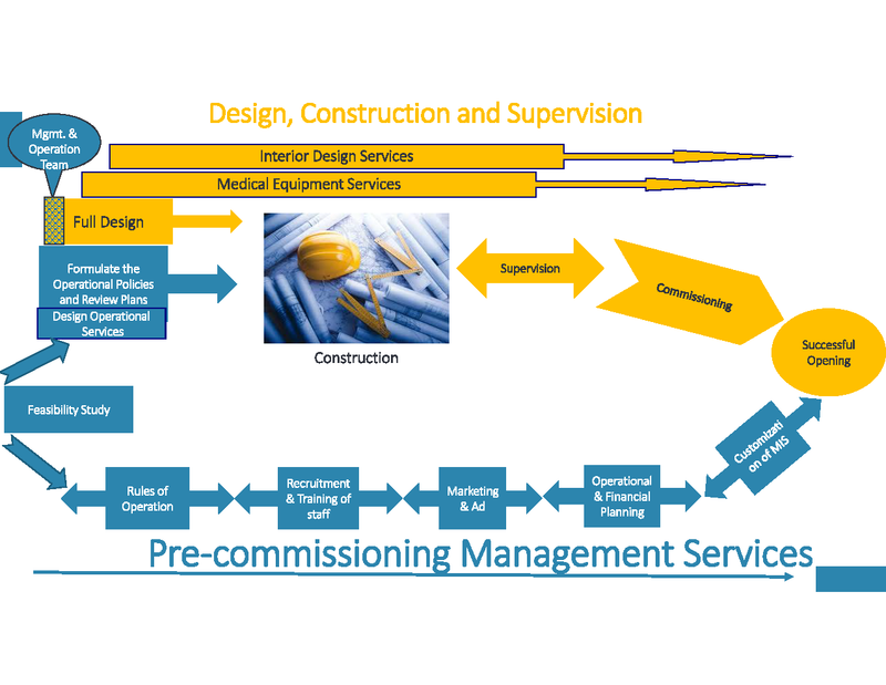 Pre-commissioning Management Services