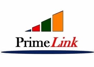 Primelink Group Inc.