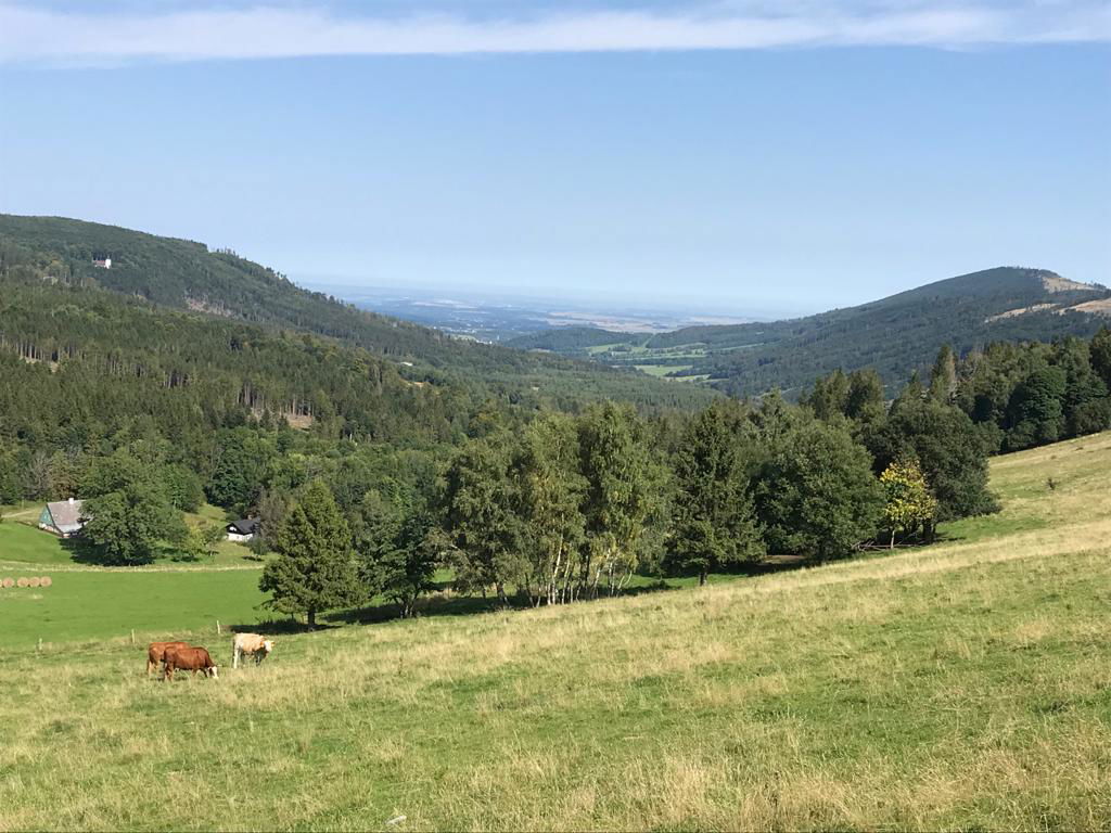 Links ist im Wald Maria-Hilf als weißer Fleck im Wald zu sehen.