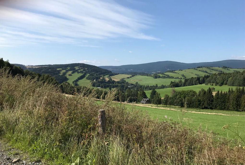 Streifenflur mit überwachsenen Steinrücken (= Lesesteinwälle der einstigen Äcker