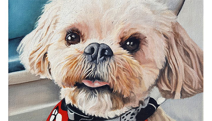 Love your pet with an original oil painting!