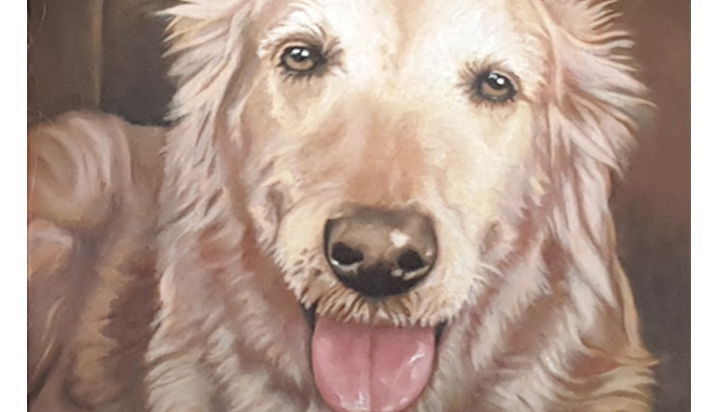 Chamois is a fortunate doggie with an original oil painting! His memory will last forever...