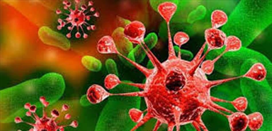 العدوى البكتيرية الثانوية ( Secondary infection ) و دورها في زيادة حالات الوفاه عند الإصابات الفيروسية وخاصة Covid 19.