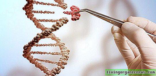 انزيم crisper cas 9 او بما يعرف بالمقص الجيني