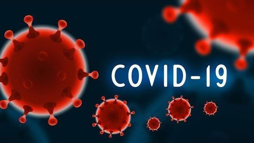 قد يتشكل لدى الأشخاص الذين أصيبوا بحمى الضنك مناعة ضد كوفيد-19