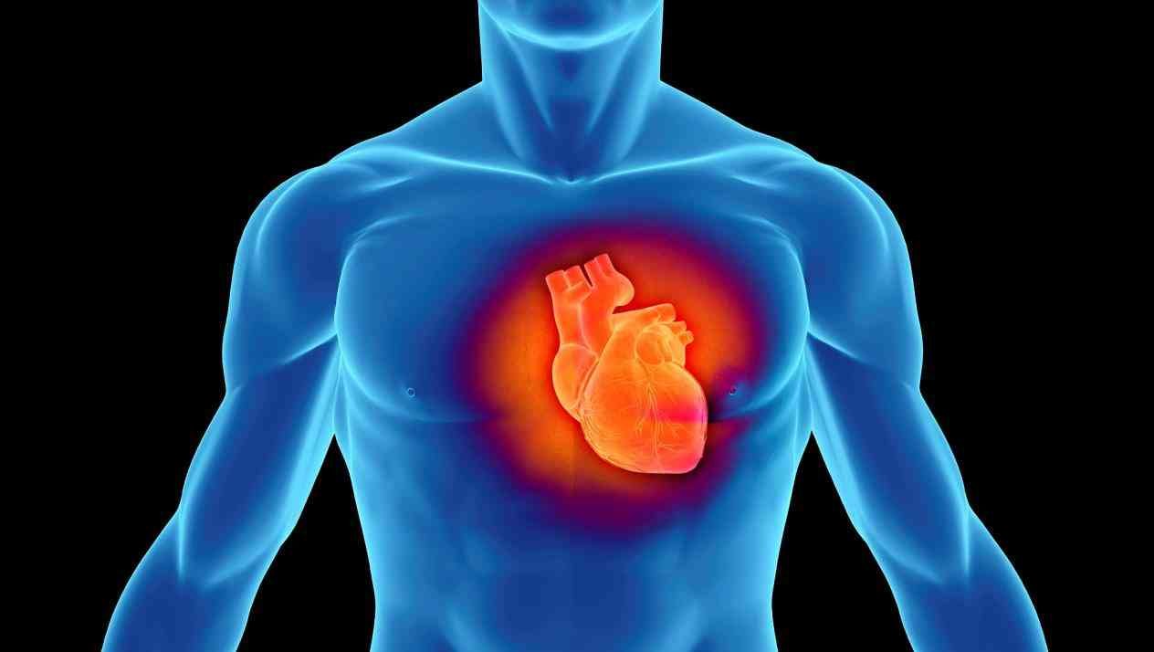 تم تقييم أنسجة القلب من تشريح جثث 21 مريضًا متتاليًا من COVID-19 من قبل أخصائي أمراض القلب والأوعية الدموية.