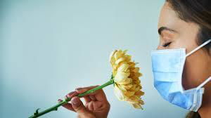 فقد الشم والخُشام في زمن جائحة فيروس Covid-19.                   ANOSMIA and Loss of smell in the era of Covid-19. #القسم الأول