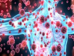 ماهي الذاكرة المناعية.. وماهي الفترة التي يستطيع فيها جهازك المناعي تذكر فيروس كوروناوحمايتك من إصابة أخرى؟؟