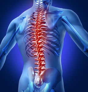ماهو مرض ضمورالنخاع الشوكي(Spinal Muscular Atrophy)؟؟...