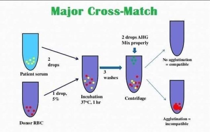 ماذا تعرف عن اختبار التوافق Cross matching??