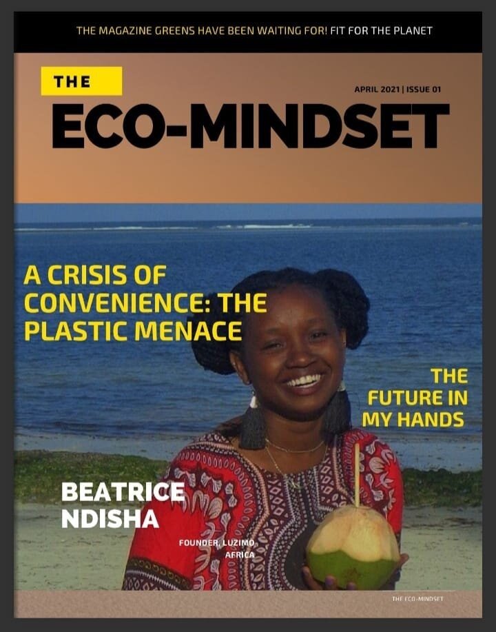 The Eco-Mindset Magazine