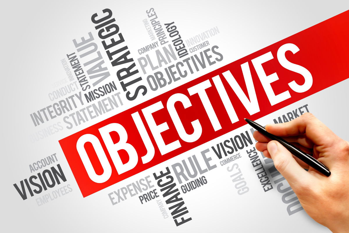 Our Objectives and Governance