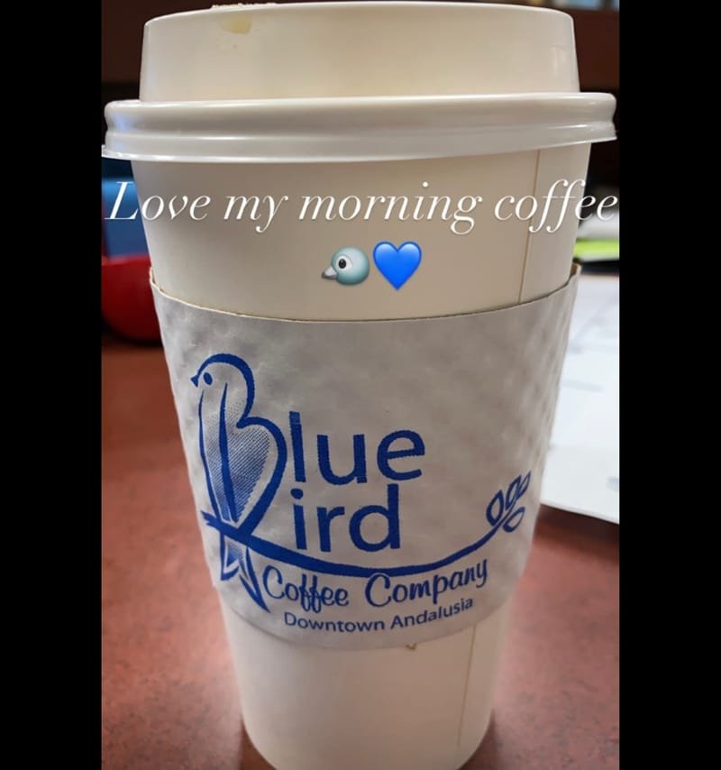 blue sparrow coffee