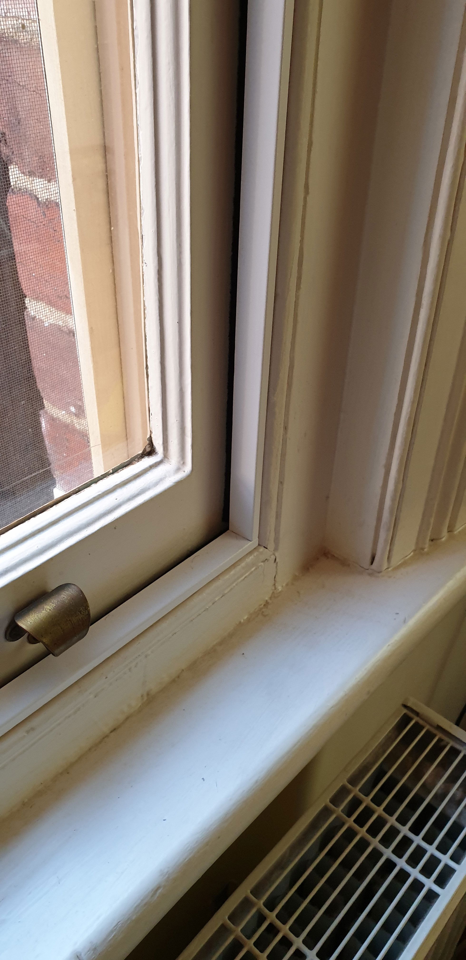 Draught Dodgers perimeter seals for double-hung windows