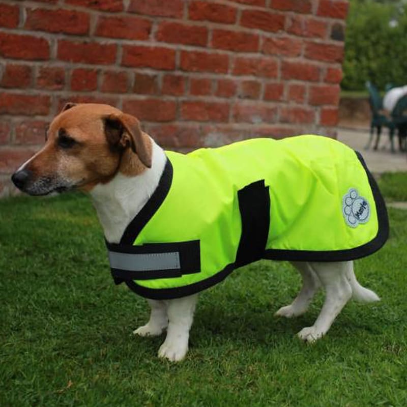 Masta Waterproof Dog Coat Daresdown Tack Shop