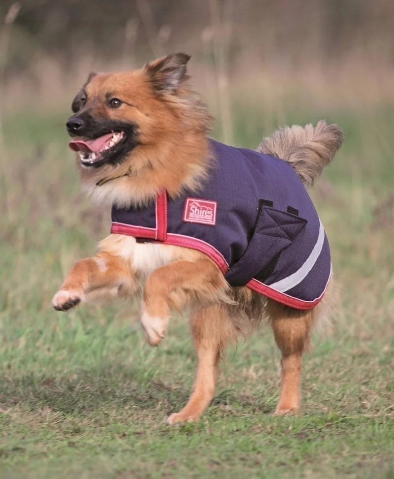 Masta Waterproof Dog Coat Daresdown Tack Shop