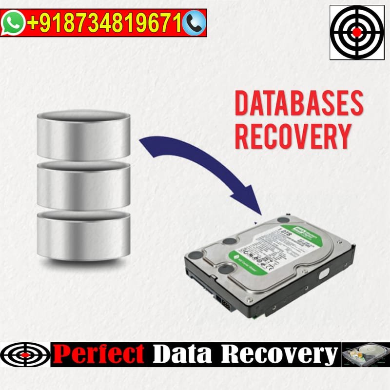 Database File Recovery Services | Secure Your Data Today