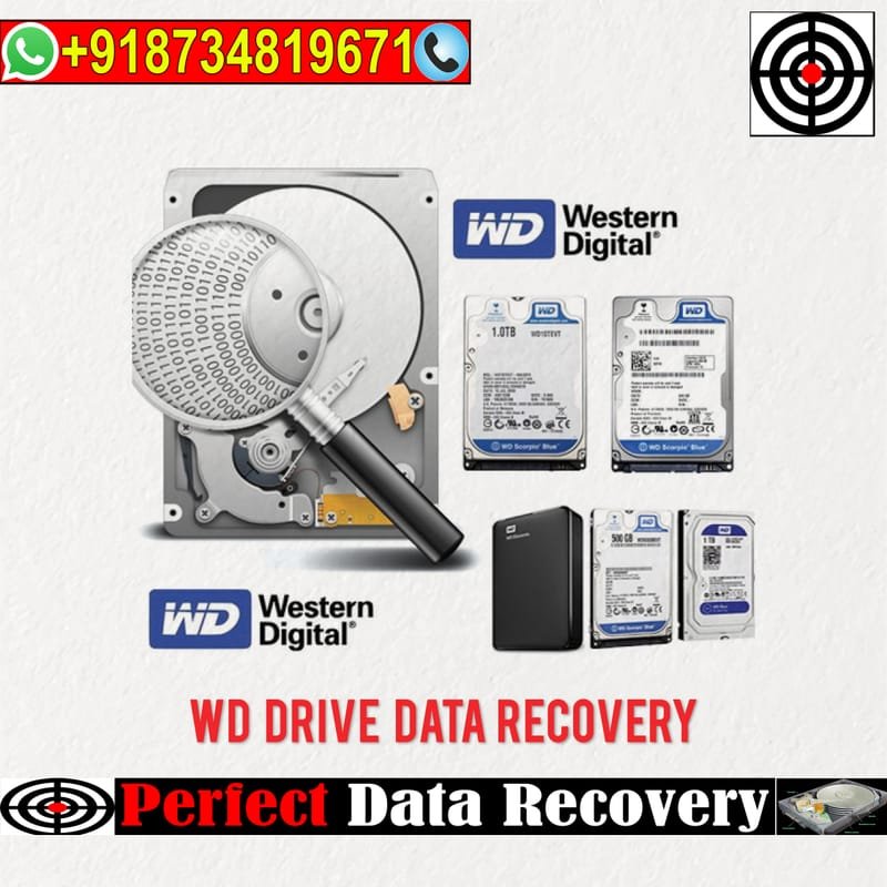 WD Hard Disk Recovery Services | Efficient Data Solutions