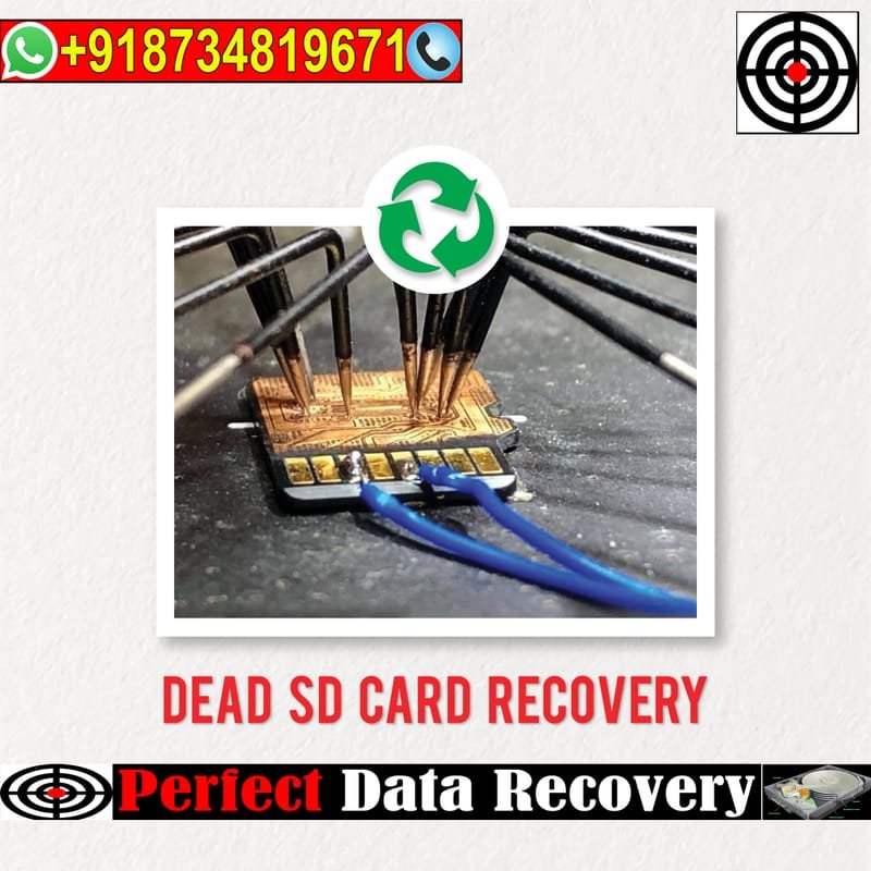 Recover Lost Data: SD Card Recovery Solutions