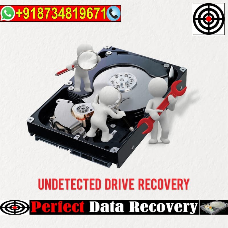 Recover Data from Unseen Hard Drives