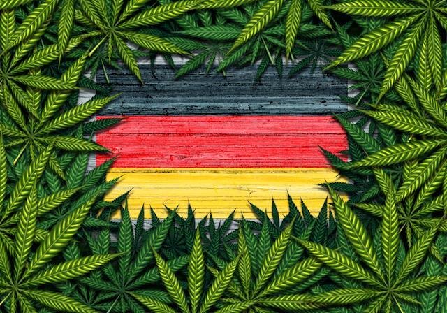德國藥商 CANNAMEDICAL 招牌大麻測試員 年薪 8.8 萬英鎊(約 83 萬港元)