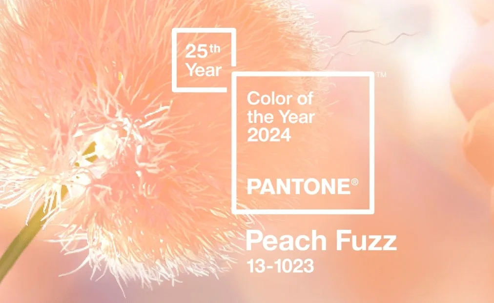 PANTONE 2024 年度代表色 “PEACH FUZZ”