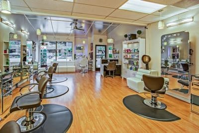 Are You in Search of a Salon? image